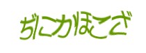 認証画像